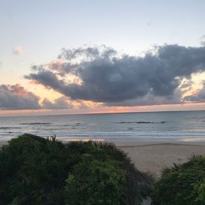 Meet your Posher, Hayley